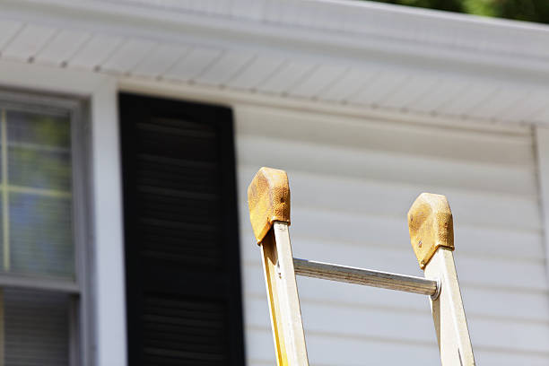 Best Dumpster Rental Services  in Knoxville, TN